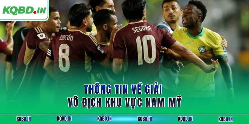 Thông tin về giải vô địch khu vực Nam Mỹ